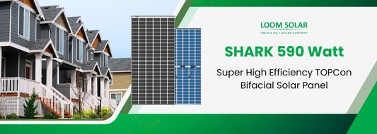 Buy Loom Solar TOPCon Solar Panels Online