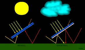 बाइफेशियल या मोनोफेशियल सोलर, कौन सा है बेहतर ?