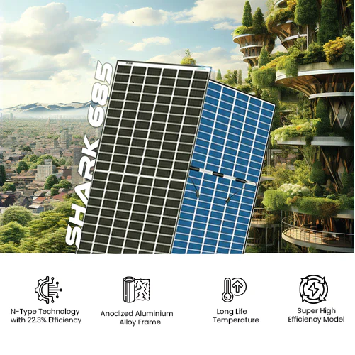 Loom Solar Panel - SHARK 685 Wp| N-Type Bifacial 12BB (Pack of 2)